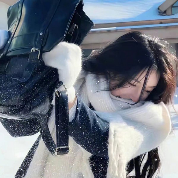 世界街头女斗士3 在线观看封面