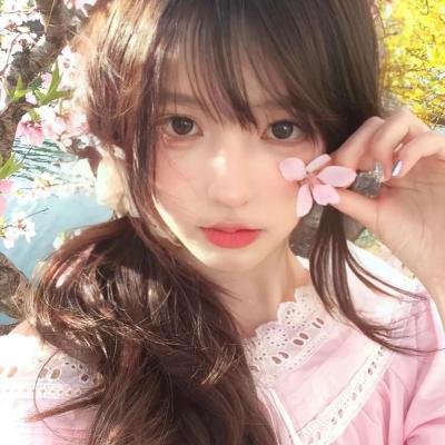 山上的松树 在线观看封面